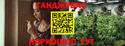 jwh Ярославль