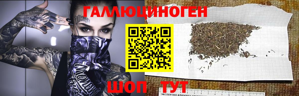 Псилоцибиновые грибы Magic Shrooms  Вход с VPN  Кингисепп  Галлюциногенные грибы GOLDEN TEACHER 